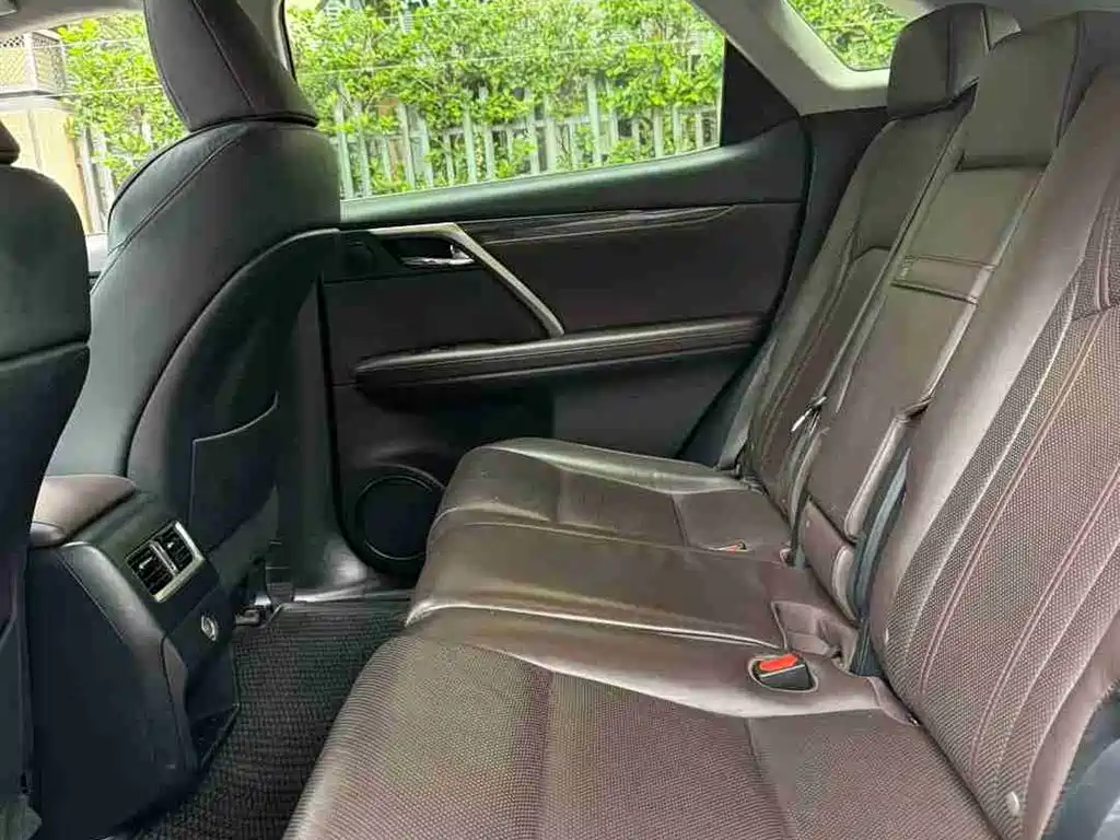 Lexus RX 2016 300 2WD Comfort Edition China V фото 10