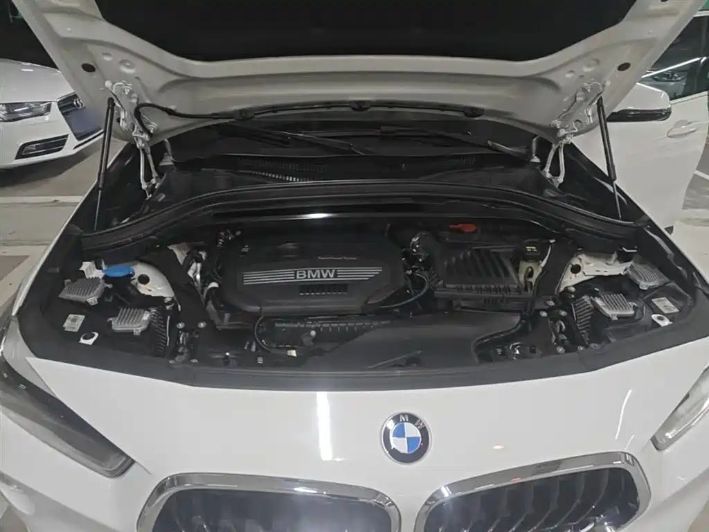 BMW X2 (Import) 2019 sDrive20i M Off-Road Package China VI фото 20