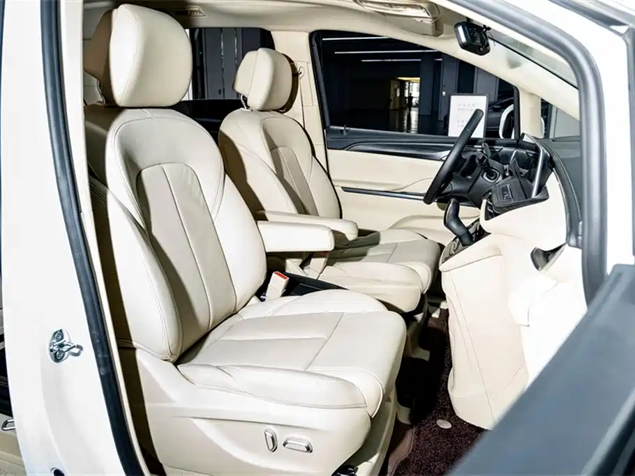 Buick GL8 2023 ES Landmaster Exclusive фото 23