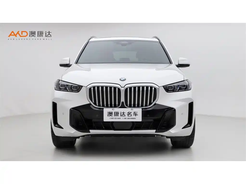 BMW X5 2023 xDrive 40Li M Sport Black Night Package фото 2