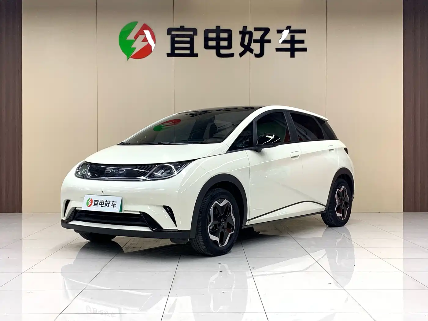 BYD Dolphin 2021 Model 405km Fashion Edition