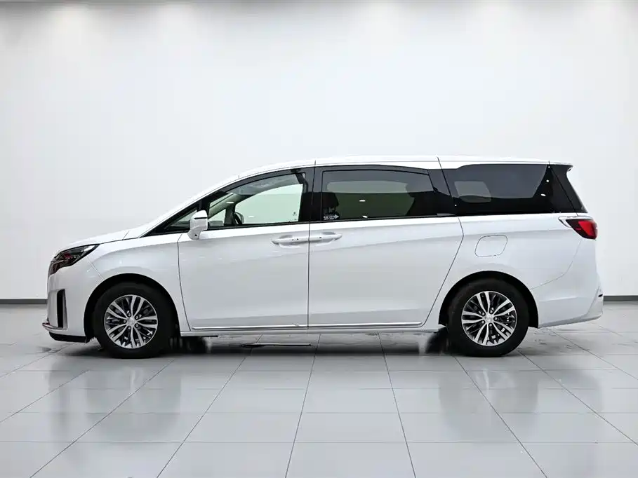 Buick GL8 2023 ES Landmaster Comfort фото 5