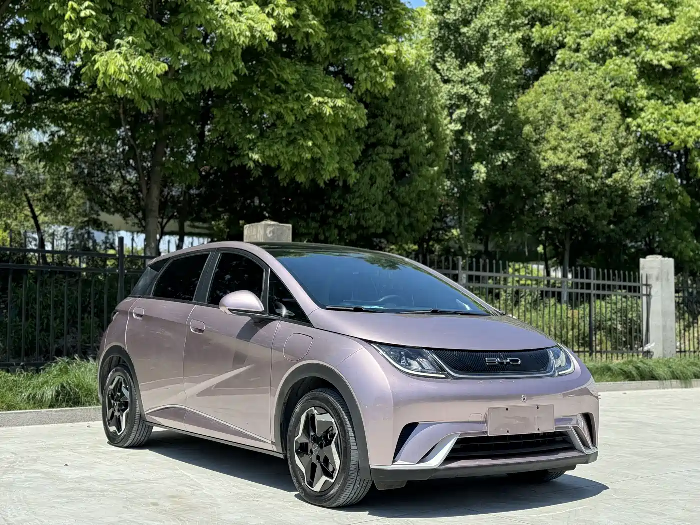 BYD Dolphin 2021 Model 405km Fashion Edition фото 3