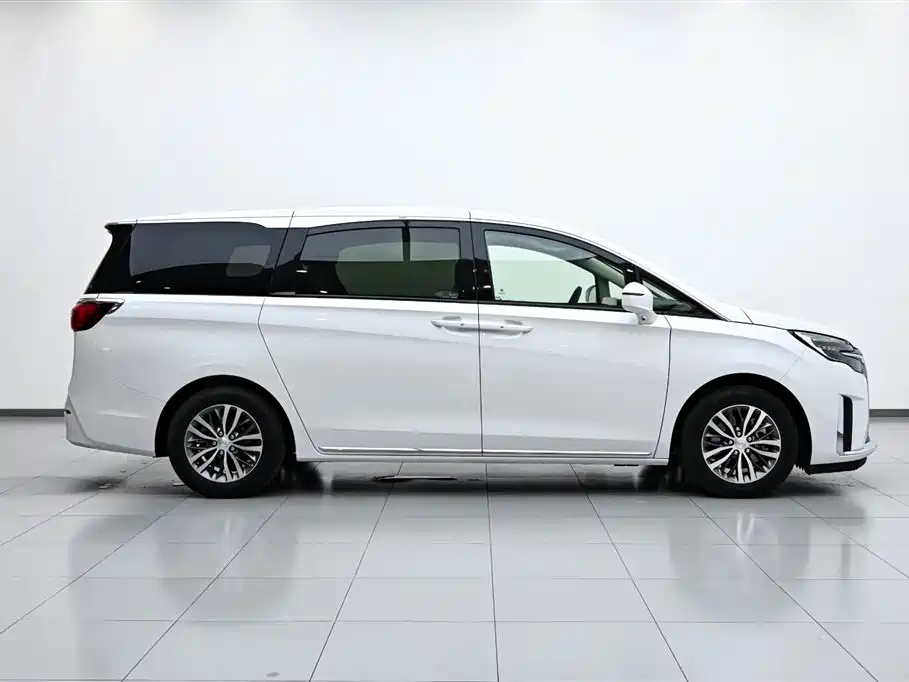 Buick GL8 2023 ES Landmaster Comfort фото 6