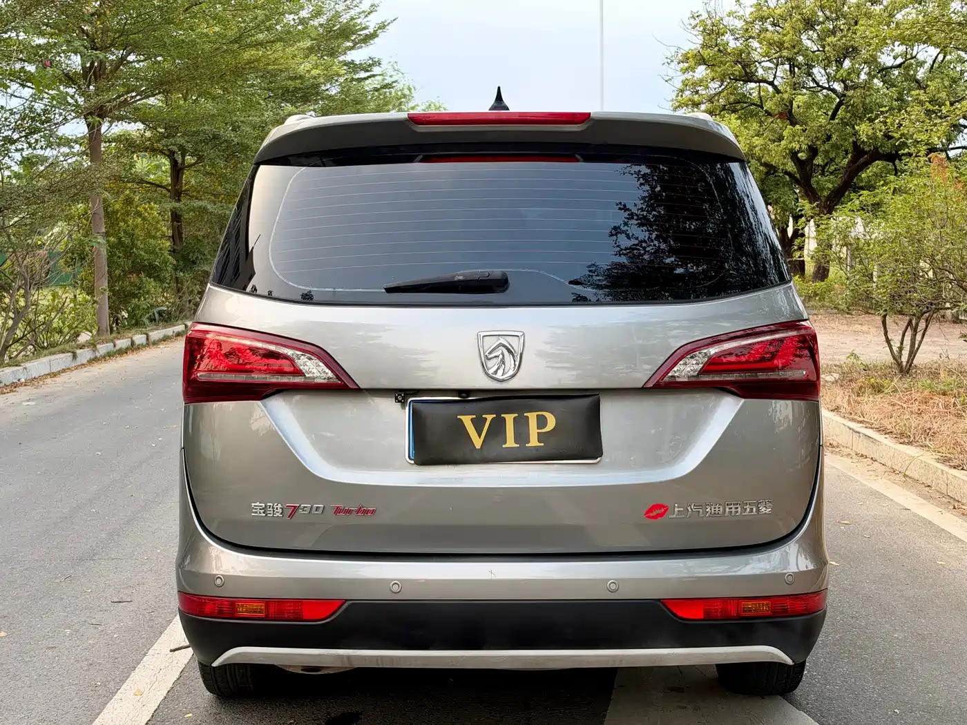 Baojun 730 2020 2019 1.5T CVT Flagship Edition 7-Seater China VI