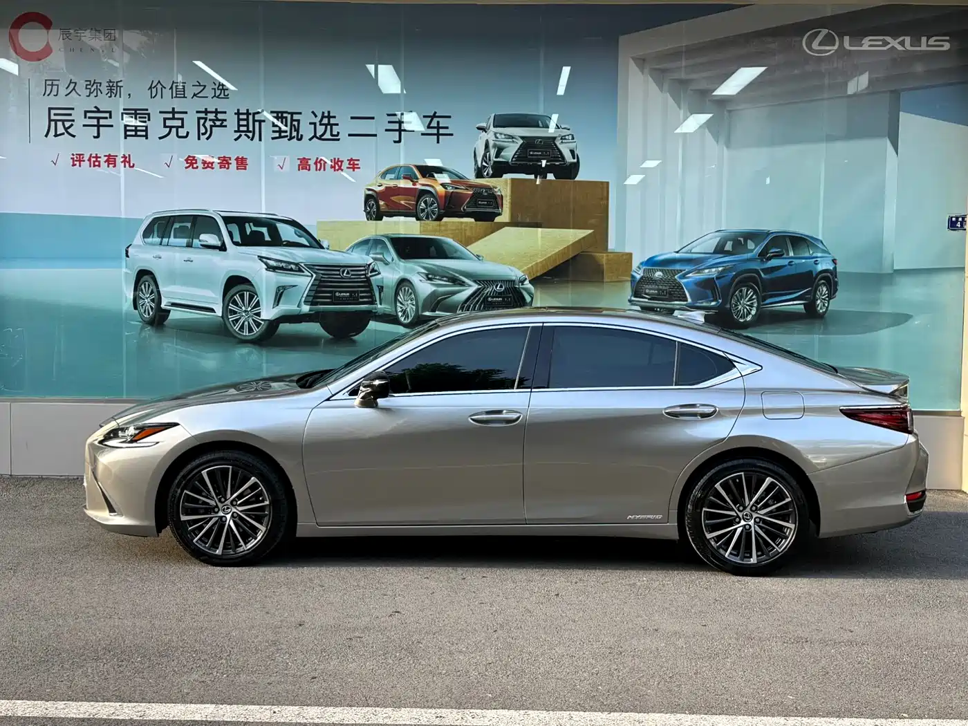 Lexus ES 2021 300h Luxury Edition фото 6