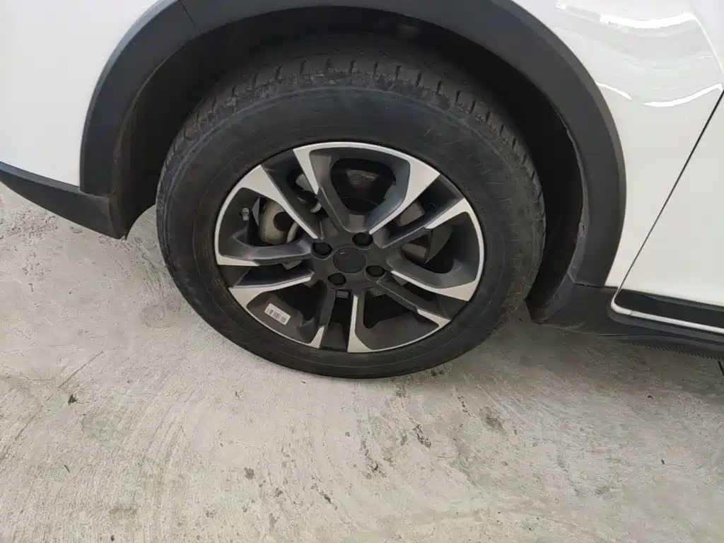 Geely Geometry EX3 Kung Fu Bull 2022 2021 Strong Bull