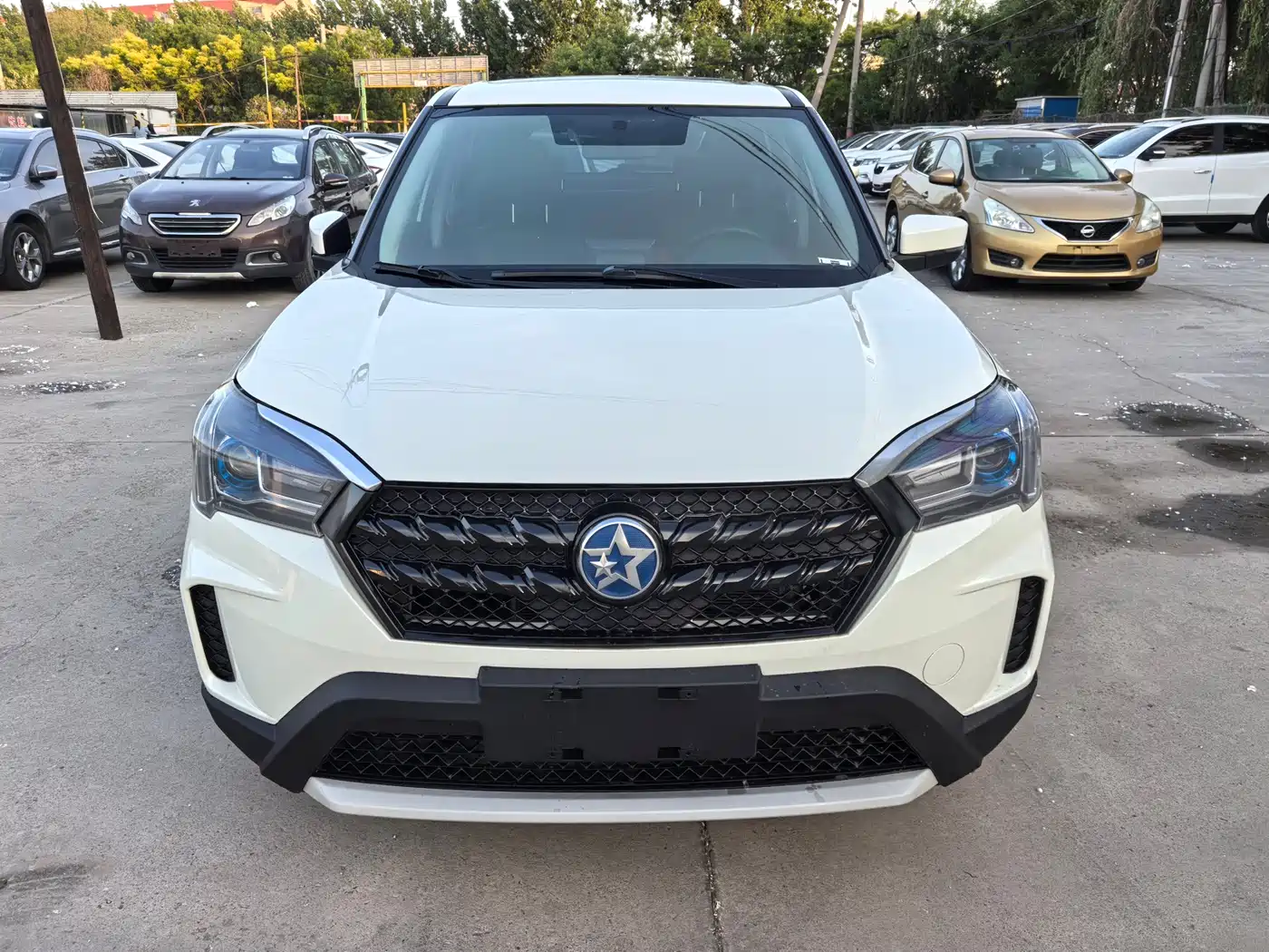 2021 Venucia T60