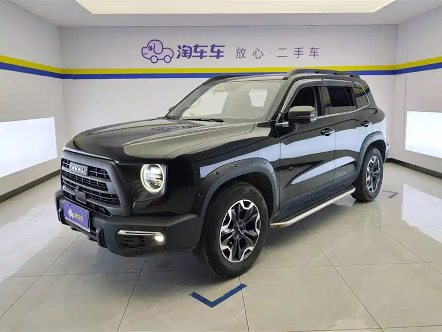 Haval Big Dog 2024 2.0T DCT Chinese Rural Dog Edition