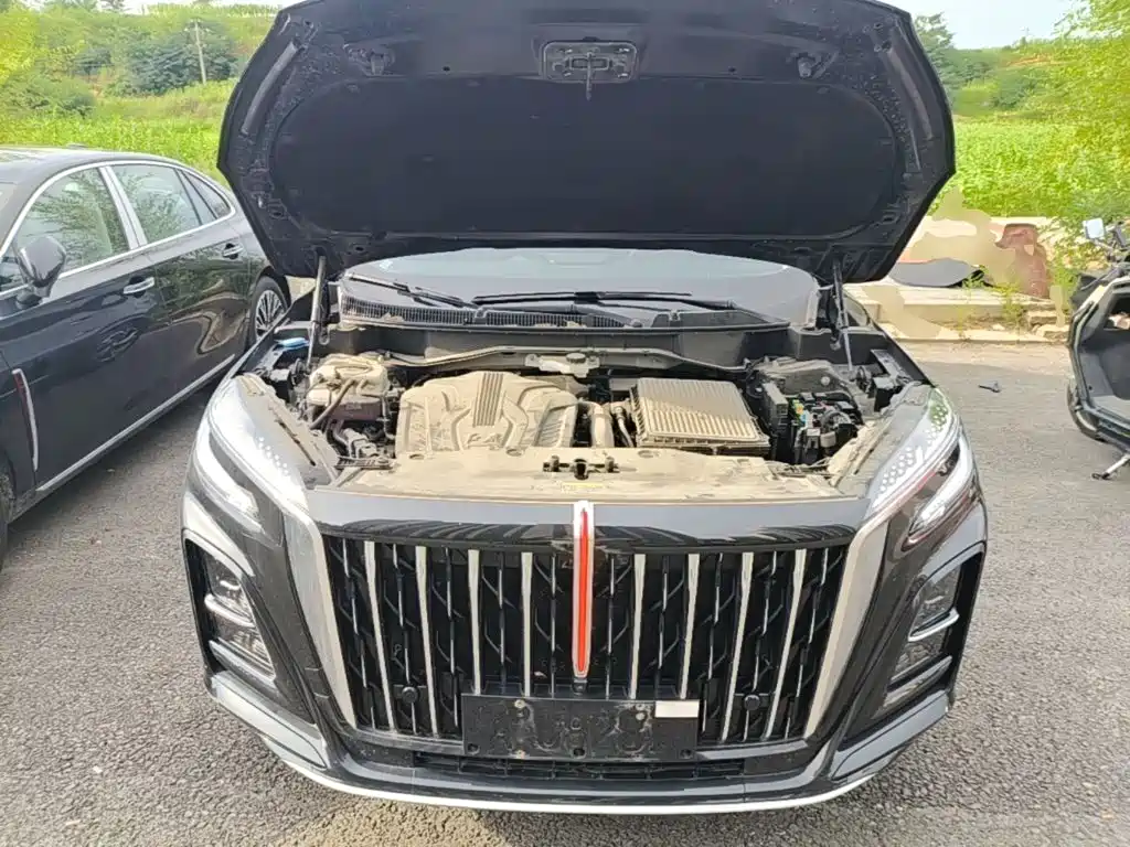 Hongqi HS3 PHEV 2024 2024 PHEV 115km Power Edition