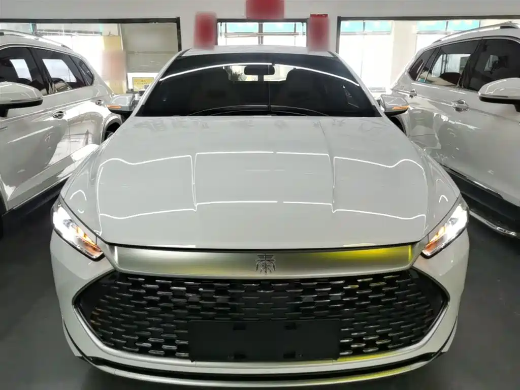 BYD Qin PLUS 2024 Glory Edition DM-i 55KM Leading фото 3