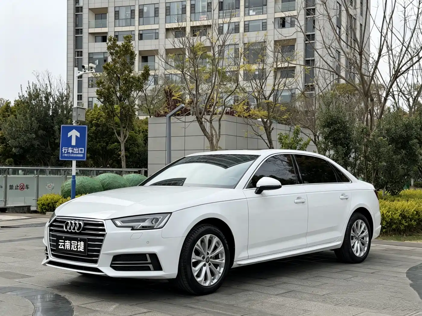 Audi A4L 2019 40 TFSI Progressive (China V)