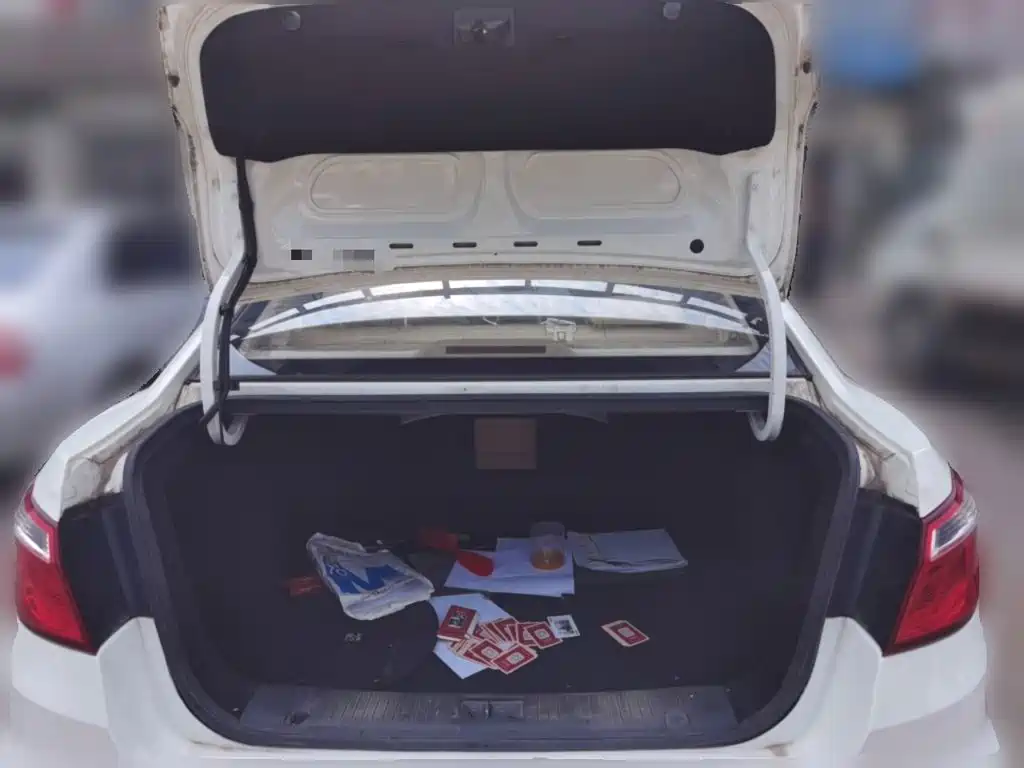 Фото 20 - Changan Eado