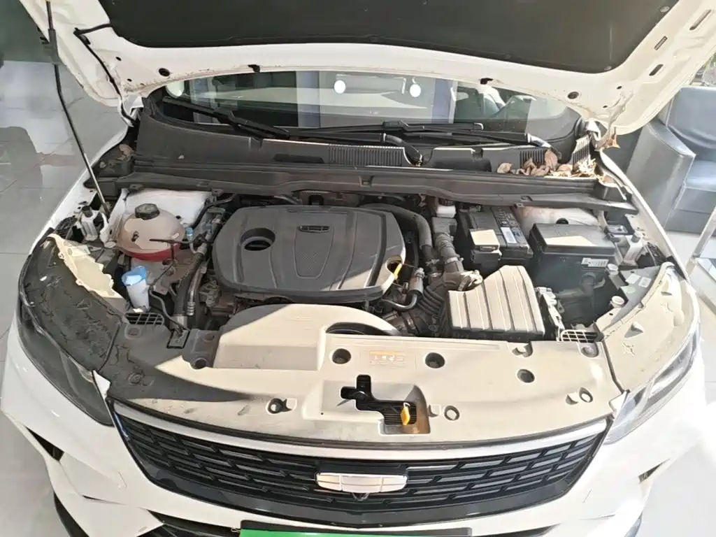 Фото 20 - Geely Binyue