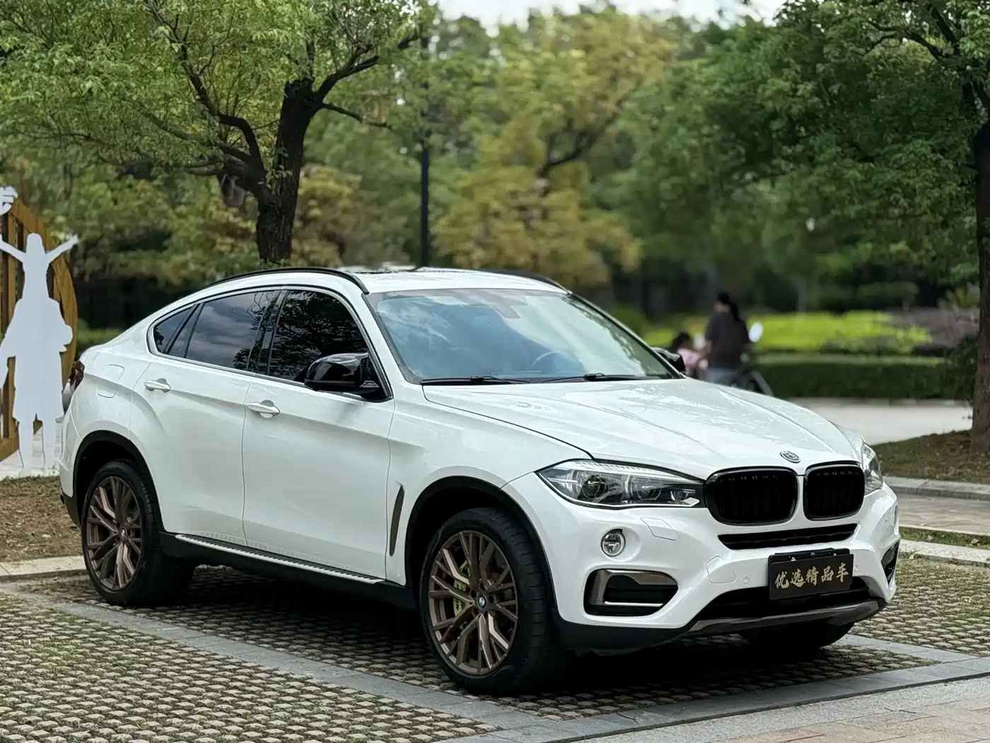 BMW X6 2017 xDrive35i Luxury фото 3