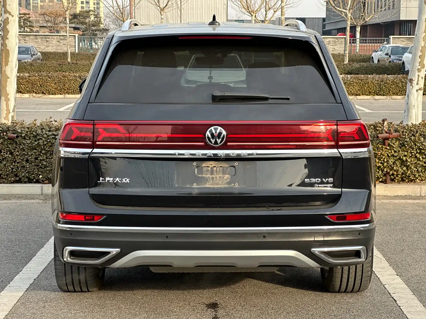 Volkswagen Teramont 2022 530 V6 4MOTION Premium Flagship фото 4