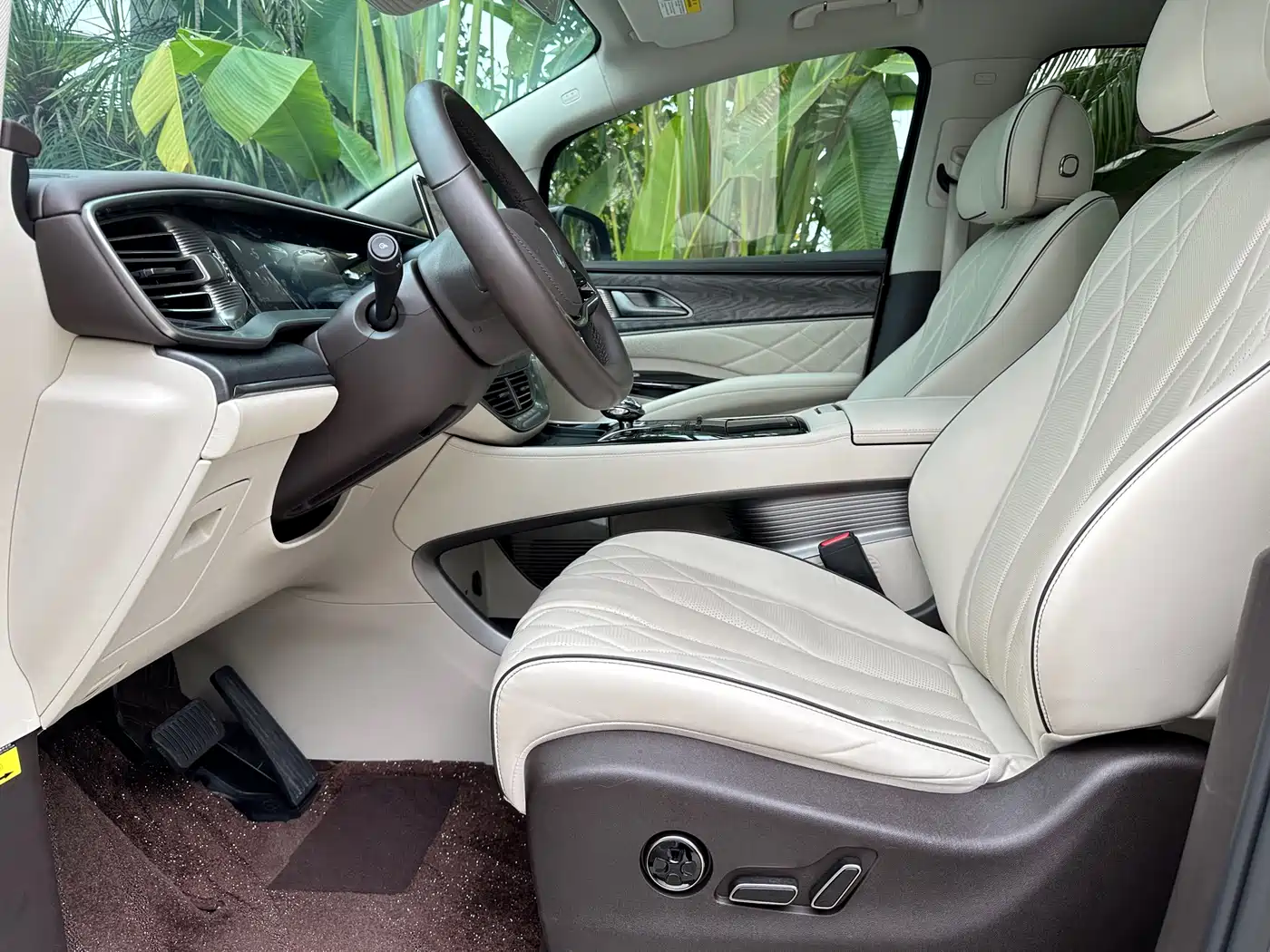 Denza D9 2024 DM-i 980 AWD Premium фото 9