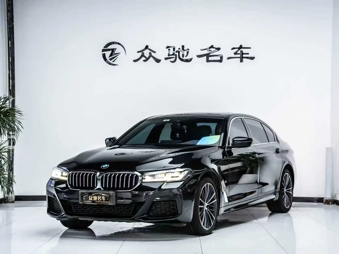 BMW 5 SERIES