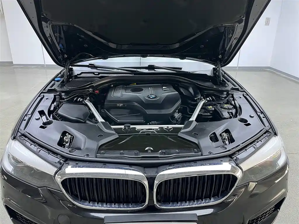BMW 5 Series 2019 Facelift 525Li M Sport Package фото 9