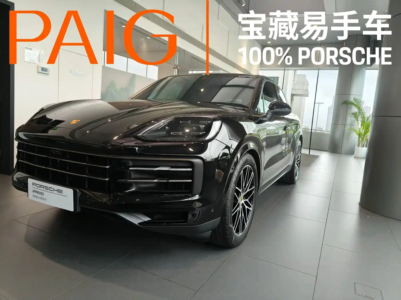 PORSCHE CAYENNE NEW ENERGY