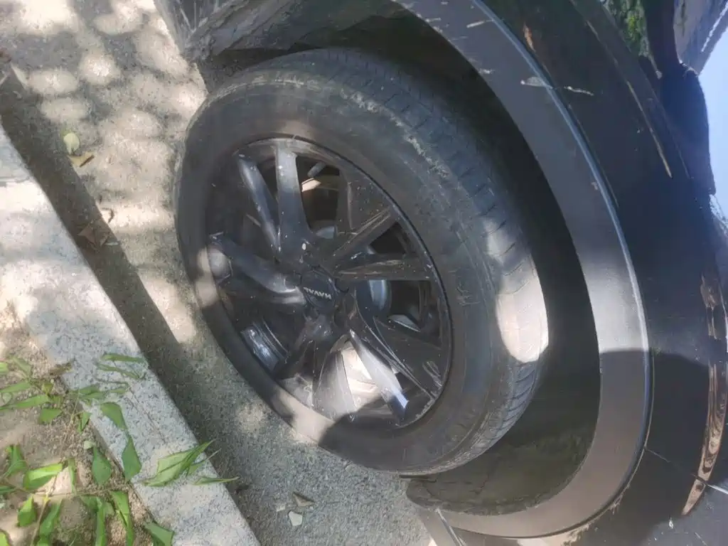 Haval H6 2025 2024 1.5T 2WD Max