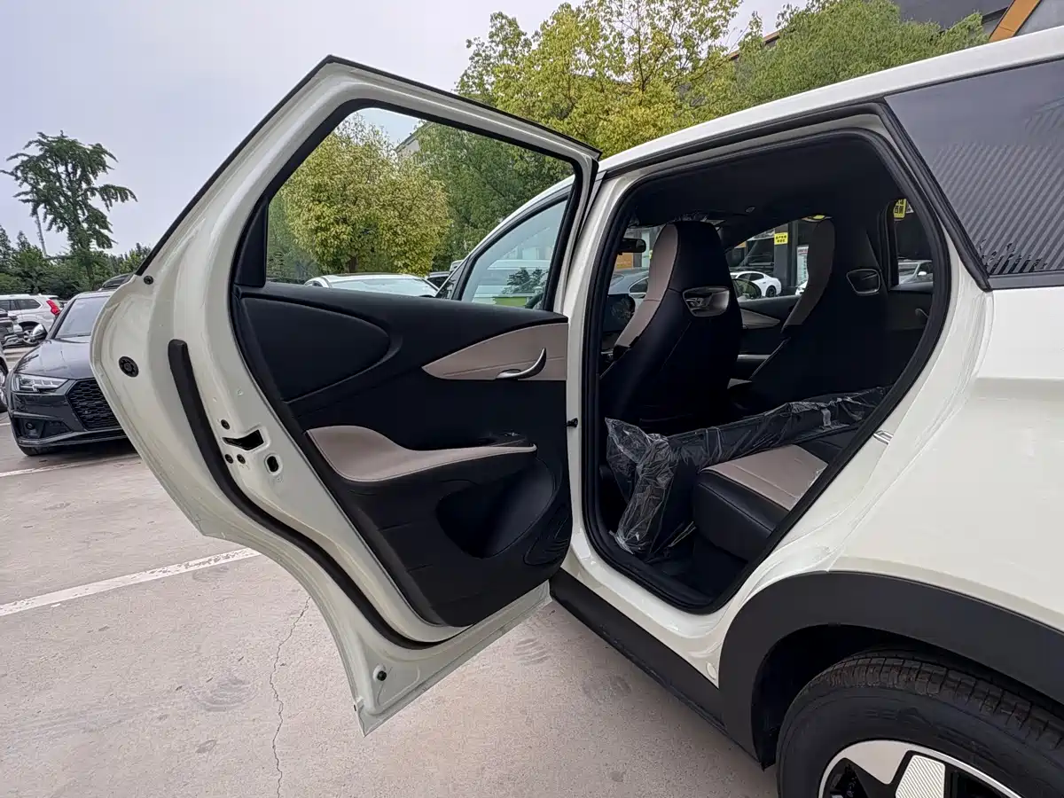 BYD Dolphin 2026 2025 420km Freedom Edition