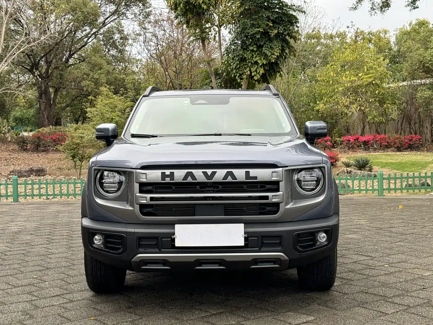 HAVAL BIG DOG