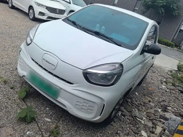  Roewe Kaiwei CLEVER 2022 311km Vitality Bobo Edition
