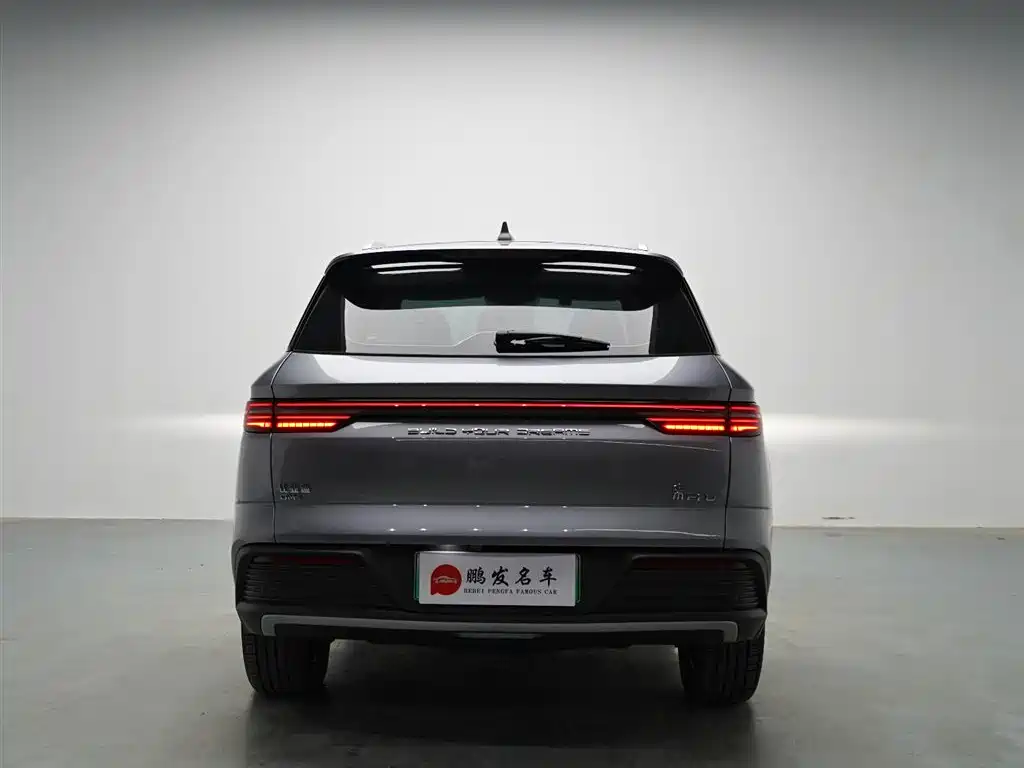 BYD Song Pro New Energy 2024 Glory Edition DM-i 71KM Leading фото 15