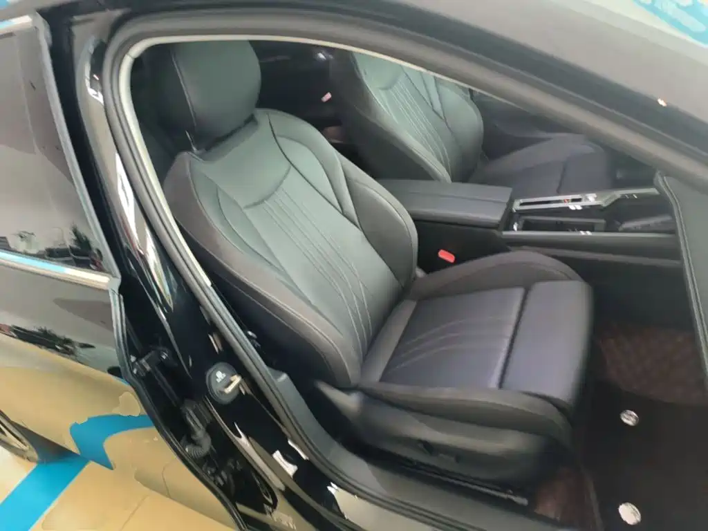 Volkswagen Magotan 2026 2024 300TSI DSG Premium Edition (Eye-catching Package)