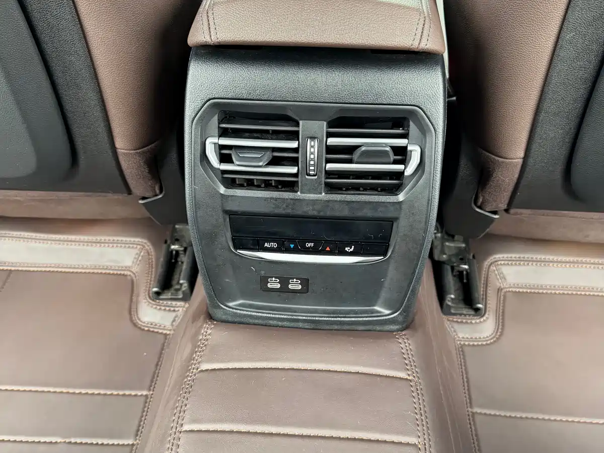 BMW 3 Series 2020 325Li M Sport Black Night Package фото 14