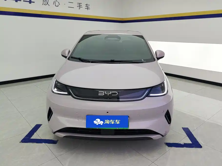 Фото 2 - BYD Dolphin