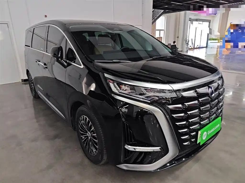 Denza D9 2024 DM-i 980 AWD Prestige фото 4