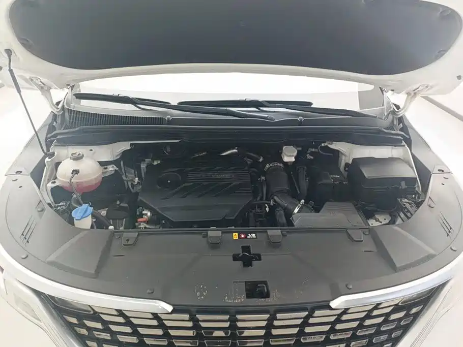 Kia Carnival 2022 2021 2.0T Flagship Edition