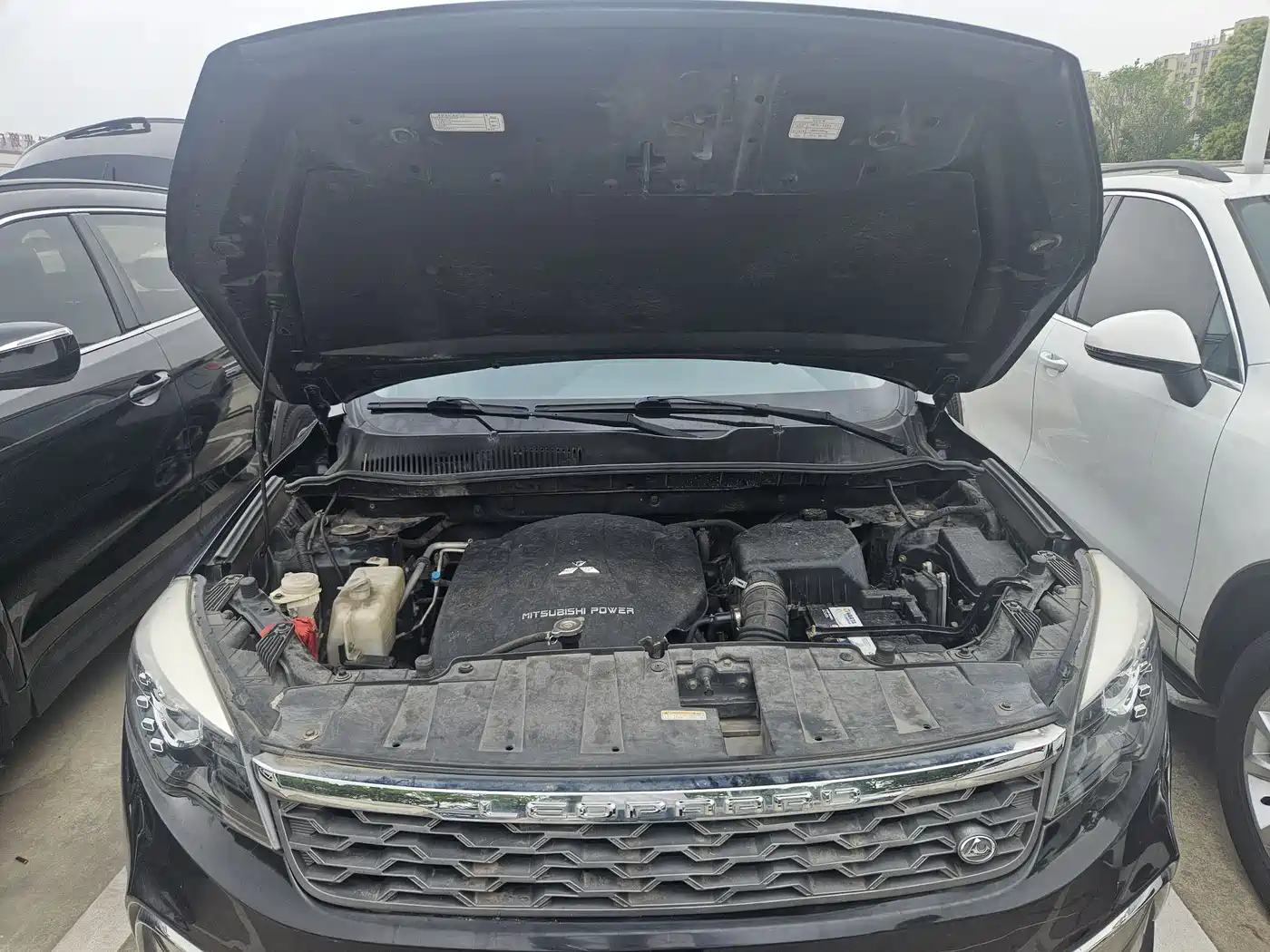 CHEETAH CARS CHEETAH CS10