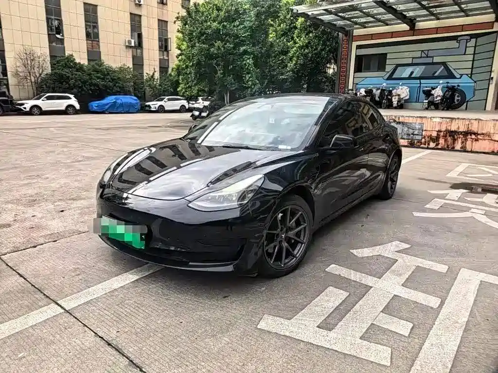 Tesla Model 3 2021