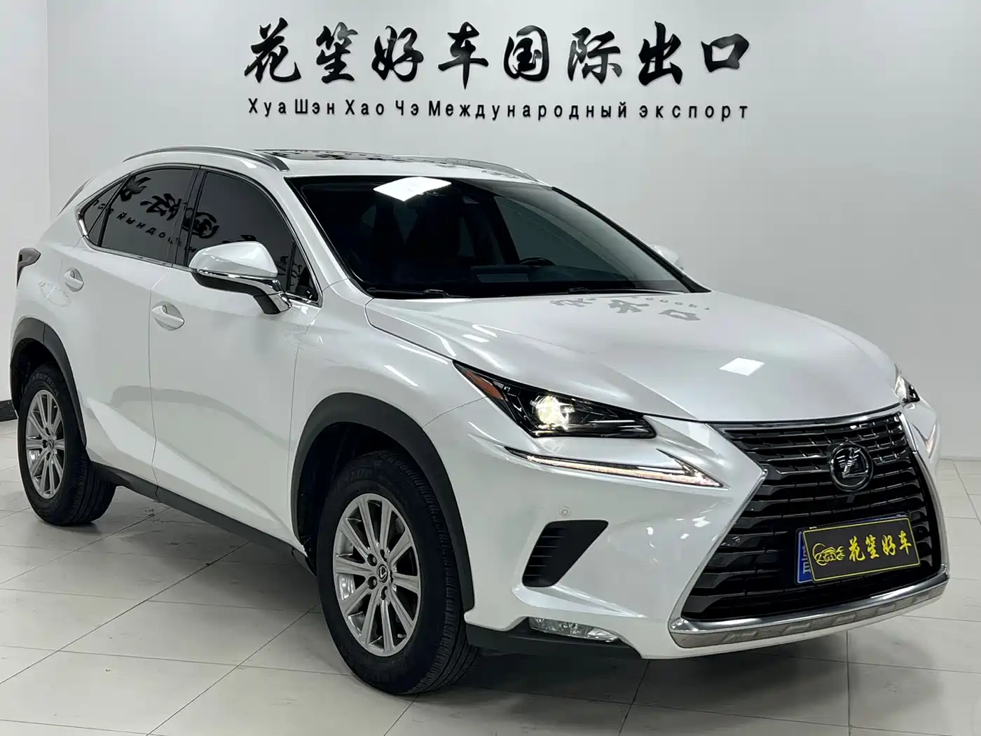 LEXUS NX