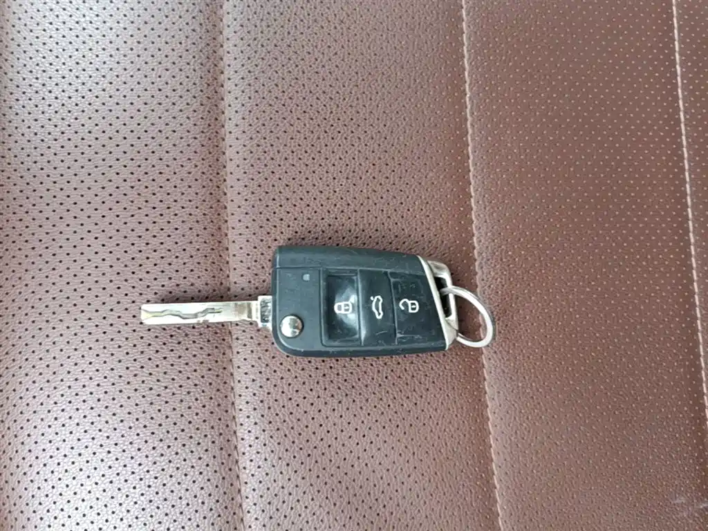 Volkswagen VW Lavida EV 2019 Premium Edition фото 17