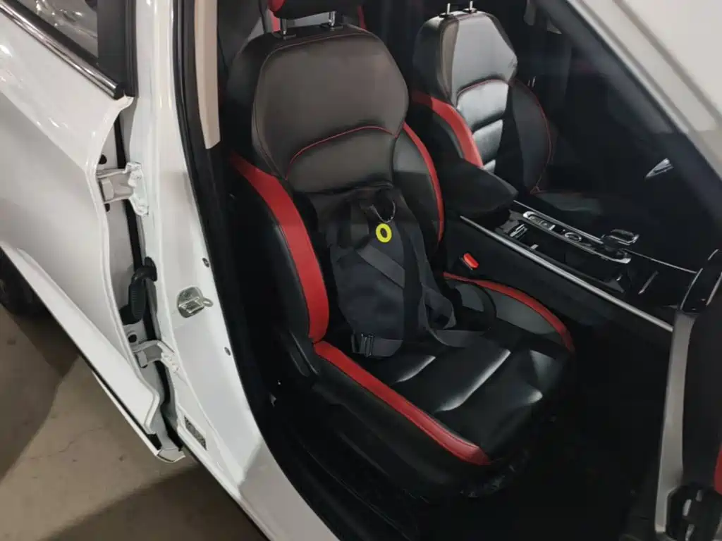 Sehol X8 2021 2021 300T DCT Luxury Smart Connect 7-Seater