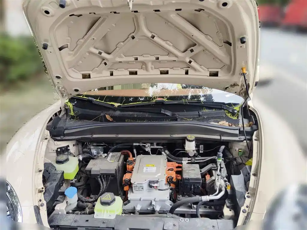Ora Good Cat 2024 2023 401km Standard Range Comfort LFP