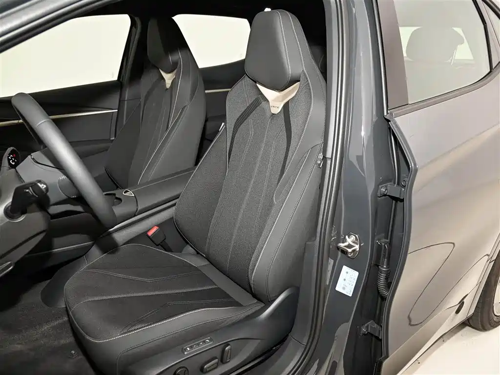 VOLKSWAGEN WITH THE CROWD 06