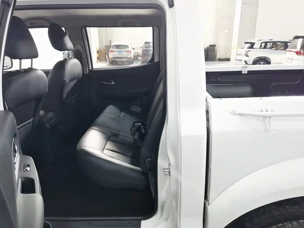 Dongfeng Ruiqi 2022 2021 2.4L Gasoline 2WD Well-off Edition Base Model 2TZD