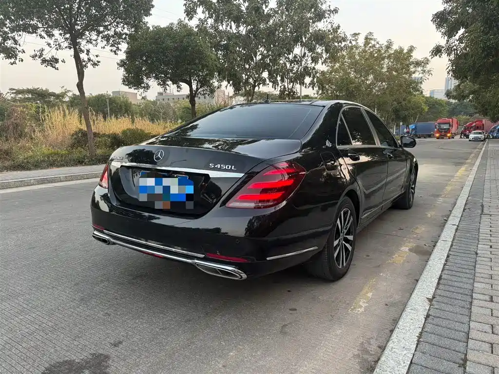 Mercedes-Benz S-Class 2008 S 300 L Business фото 8