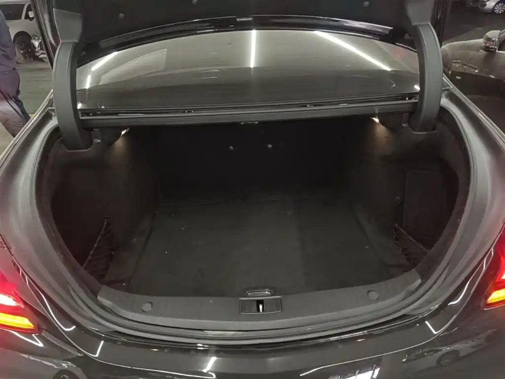 Mercedes-Benz S-Class 2020 S 350 L Business Edition Collector's Version фото 19