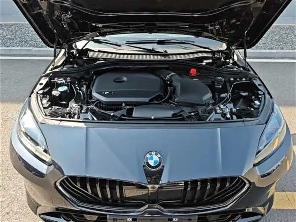 BMW 2 Series 2025 225L M Sport Moonlight Package фото 9