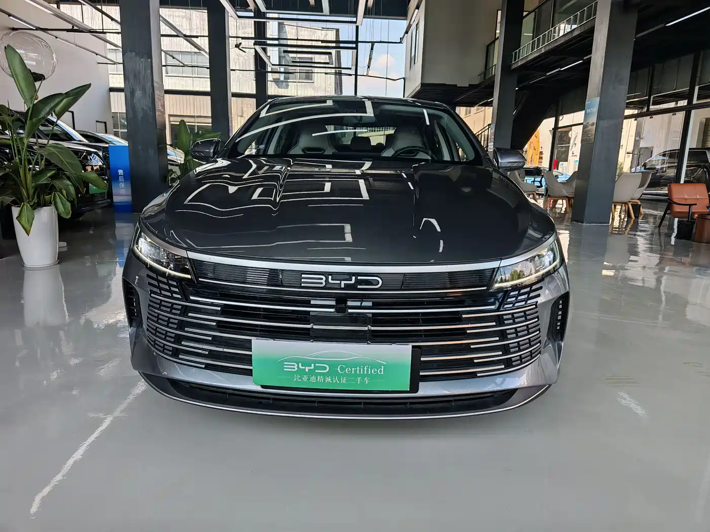 BYD Destroyer 05 2023 Champion Edition DM-i 120KM Premium фото 2