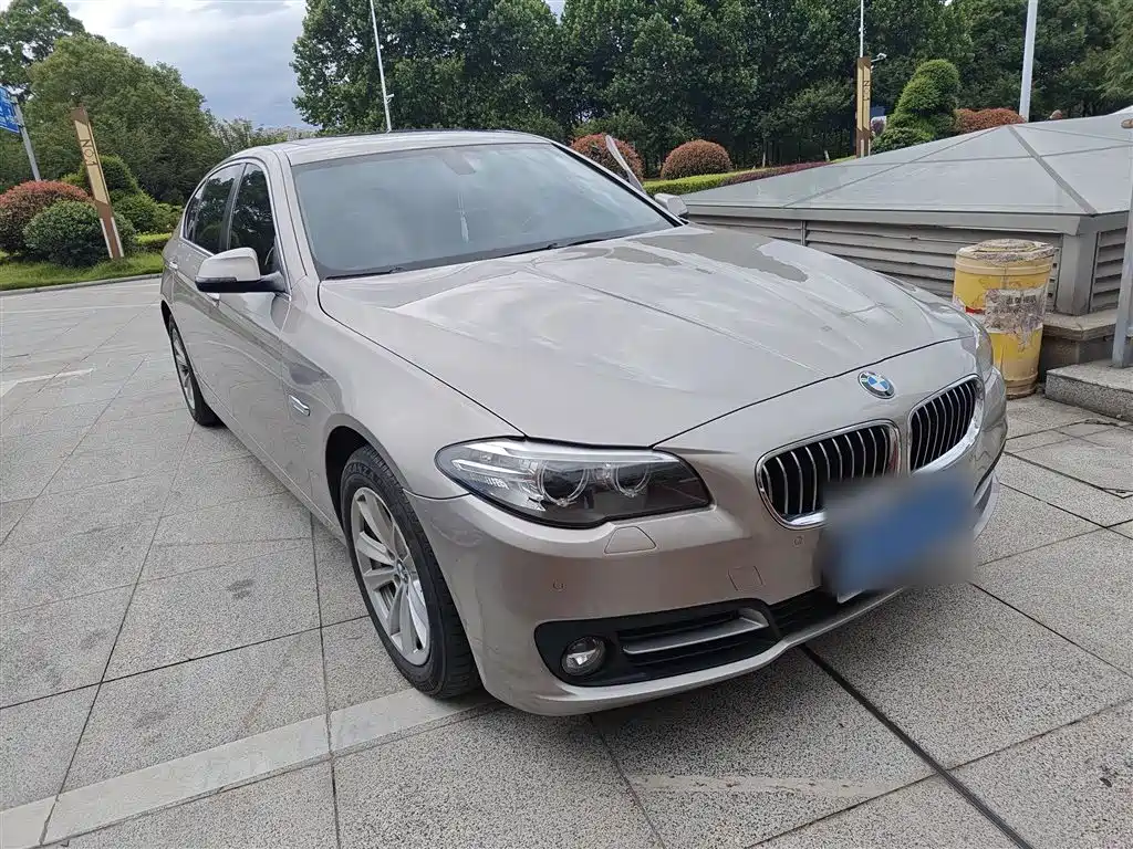 BMW 5 Series 2014 520Li Elegance фото 6