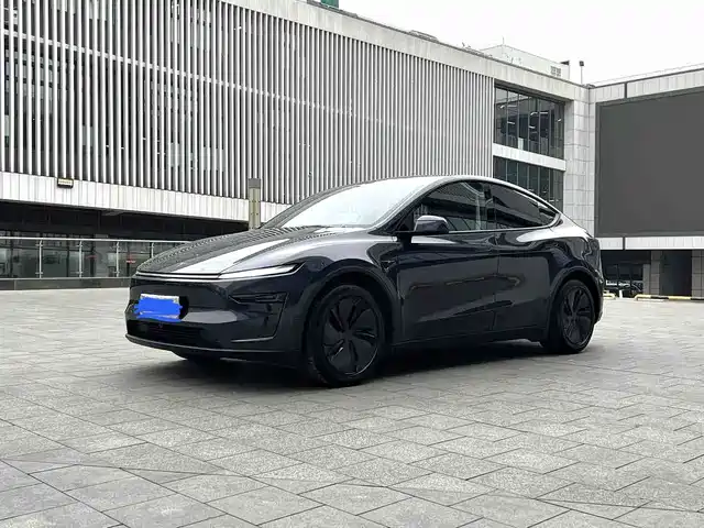  Tesla Model Y 2025 Model Long Range All-Wheel Drive Launch Edition