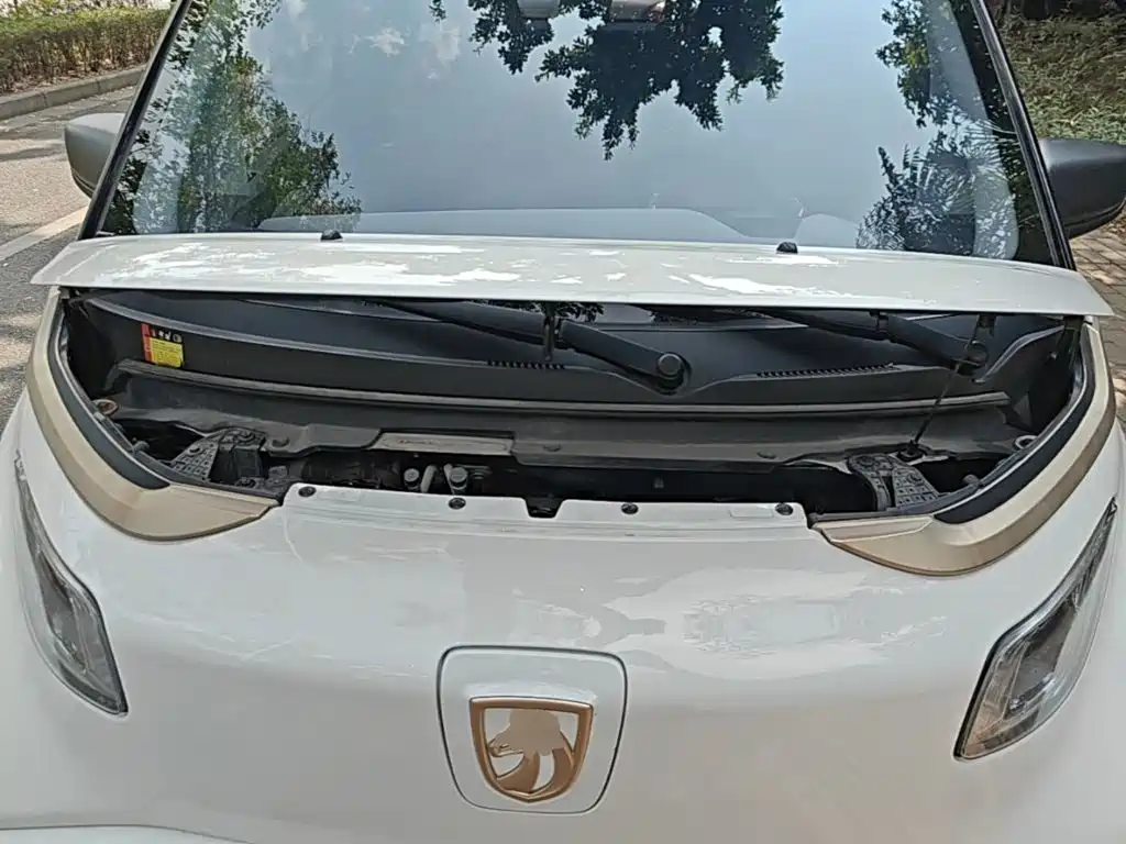 Baojun E200 2020 2019 250KM Smart Edition