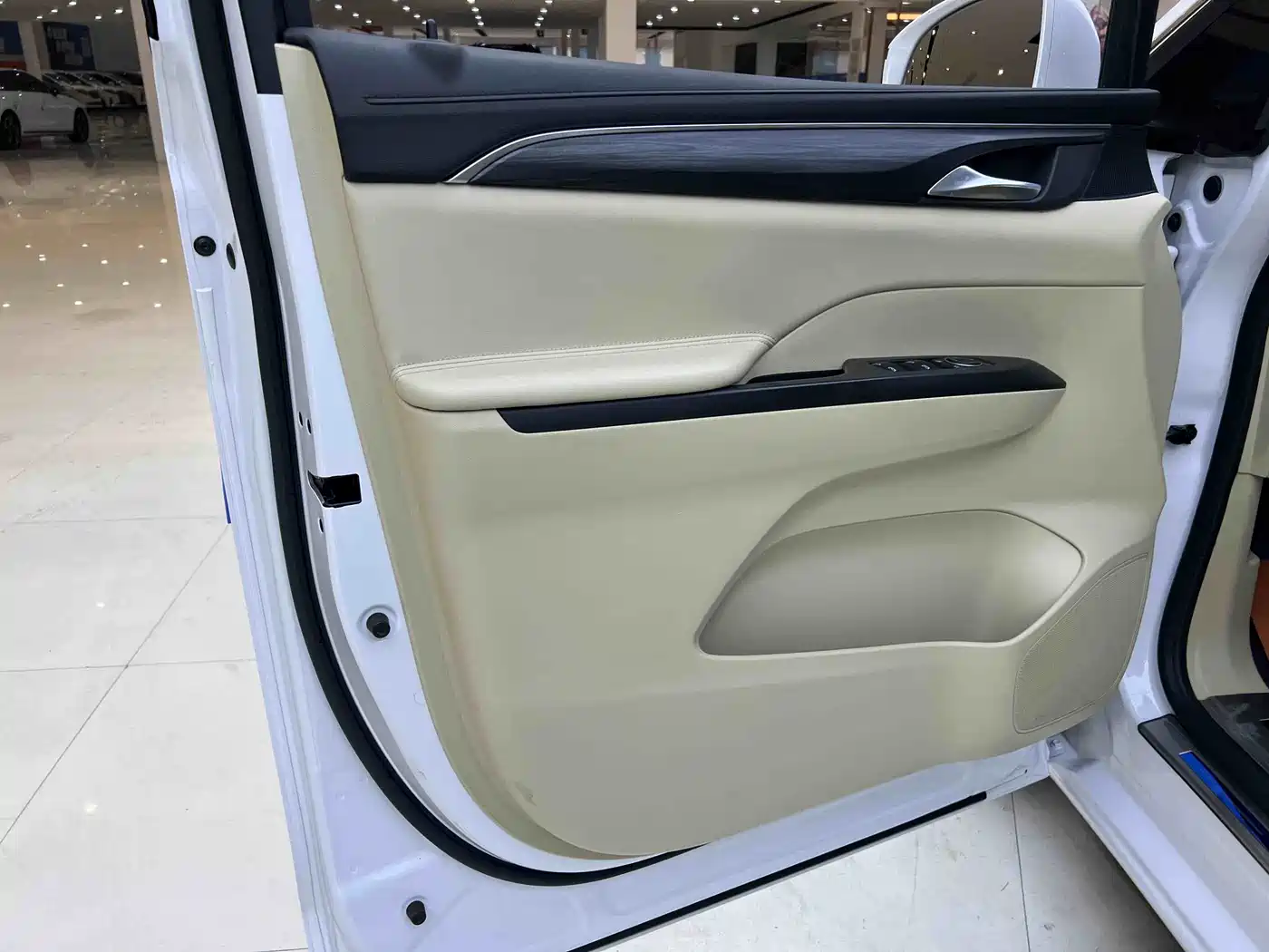 Buick GL8 2023 ES Landmaster Exclusive фото 9